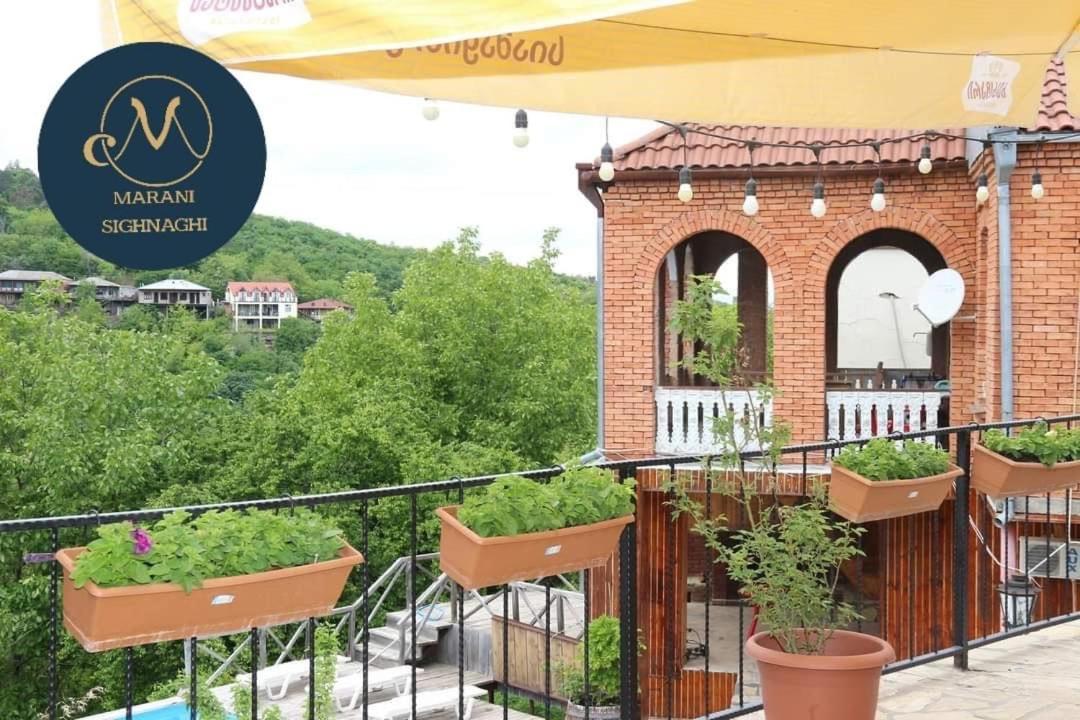 Guest House Marani سينغناغي المظهر الخارجي الصورة
