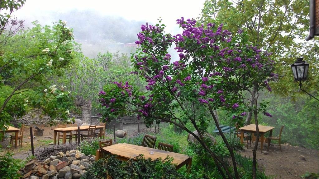Guest House Marani سينغناغي المظهر الخارجي الصورة